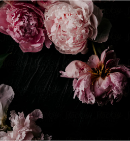 Peony